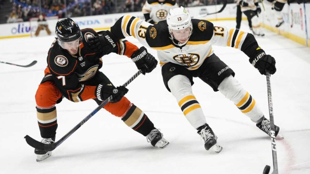 Boston Bruins vs Anaheim Ducks [Image Credit: Los Angeles Times]