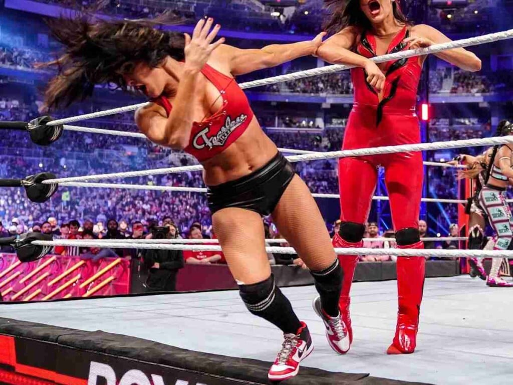 The Bella Twins