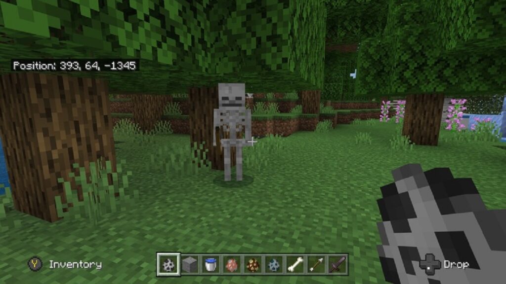 Skeletons minecraft