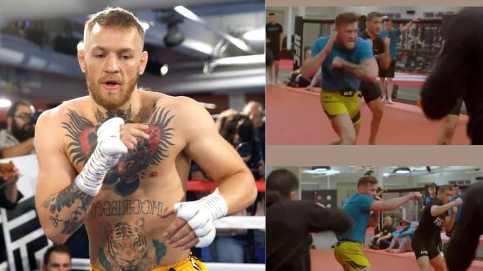 “Built like wreck it Ralph” – Conor McGregor’s recent training footage with TUF contestants convinces fans of KO against Michael Chandler