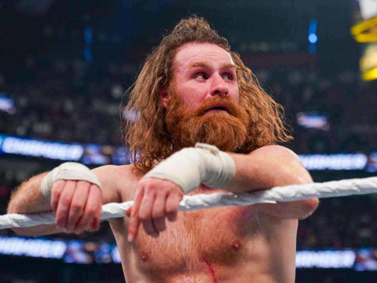 “It was the right call,” AEW Superstar defends the decision of Sami Zayn losing the World title match against Roman Reigns at Elimination Chamber