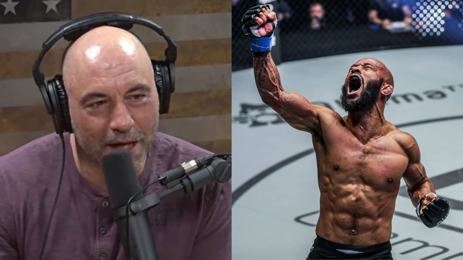 Joe Rogan and Demetrious Johnson discuss the latter’s wildest finish in MMA