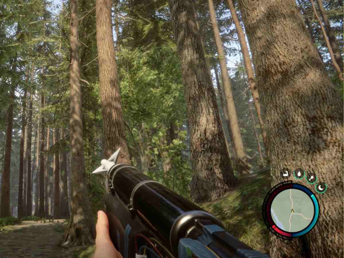 Sons of the Forest: Rope gun location and how to get it