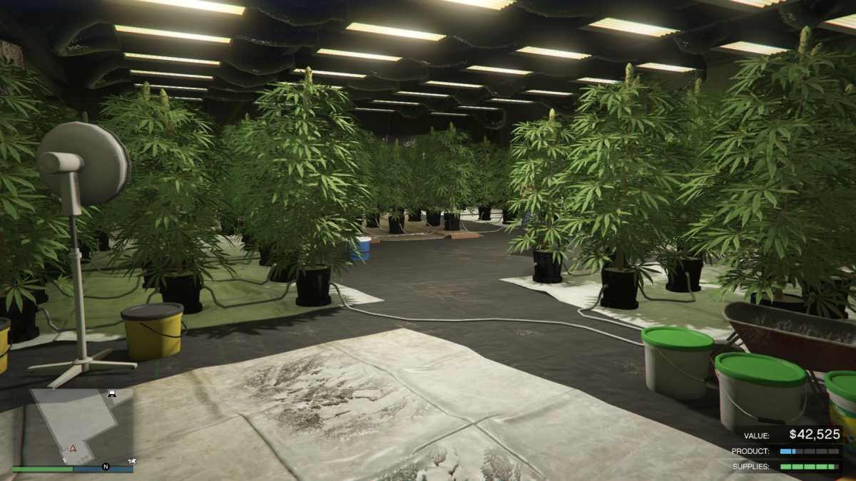 Weed Farm