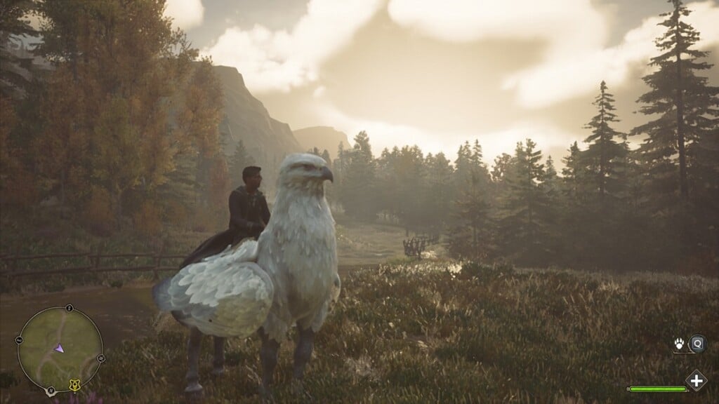 Tame a Hippogriff in Hogwarts Legacy