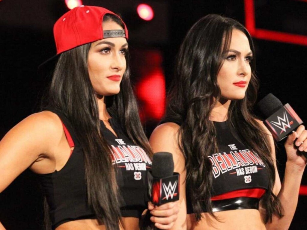 The Bella Twins