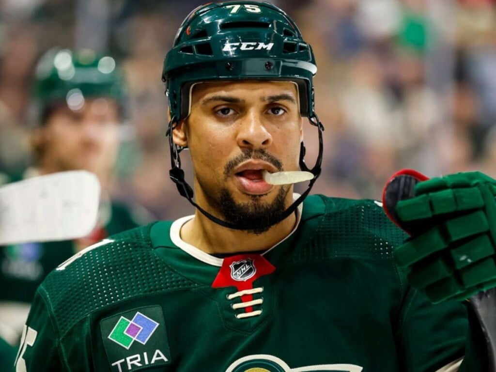 Ryan Reaves [Image Credit: The Hockey Beast]