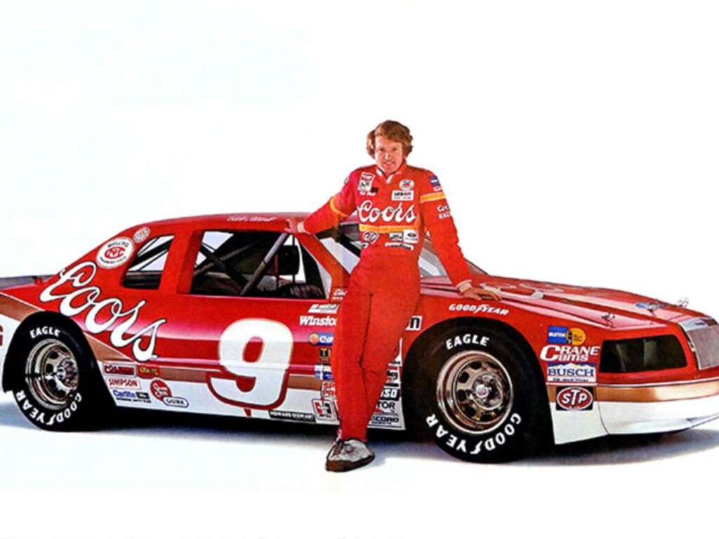 Bill Elliot's NASCAR