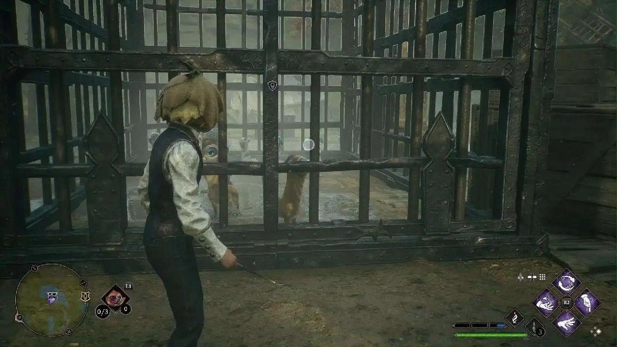 How to fix the “Take the Biscuit” side quest bug in Hogwarts Legacy