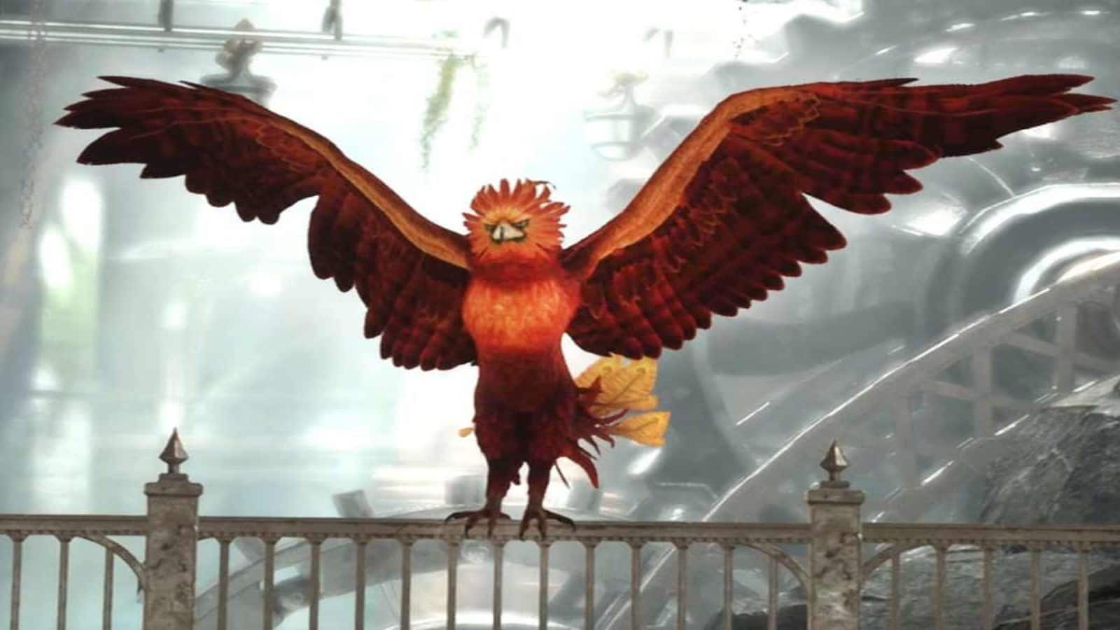 How to find and capture the elusive Phoenix in Hogwarts Legacy