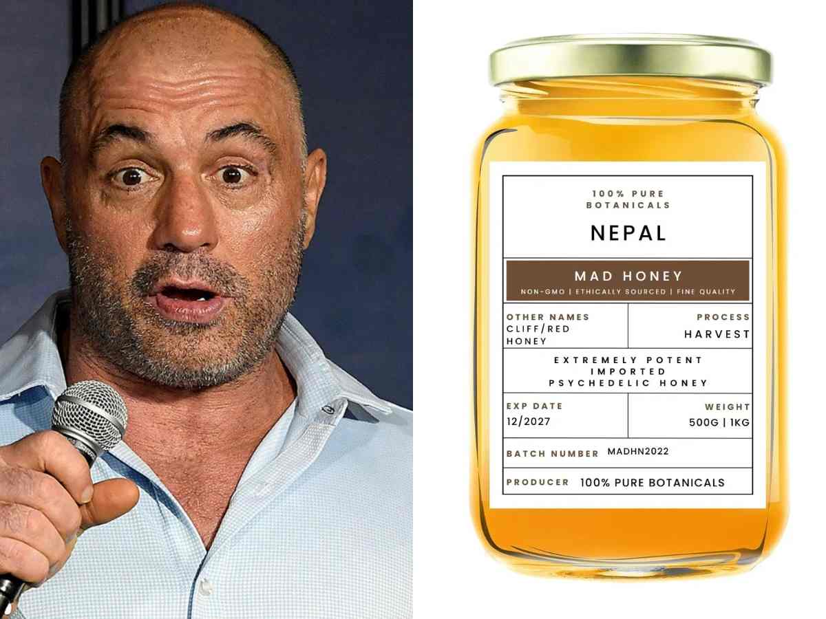 WATCH: Joe Rogan makes novelist try ‘illegal’ Mad Honey drug live during podcast