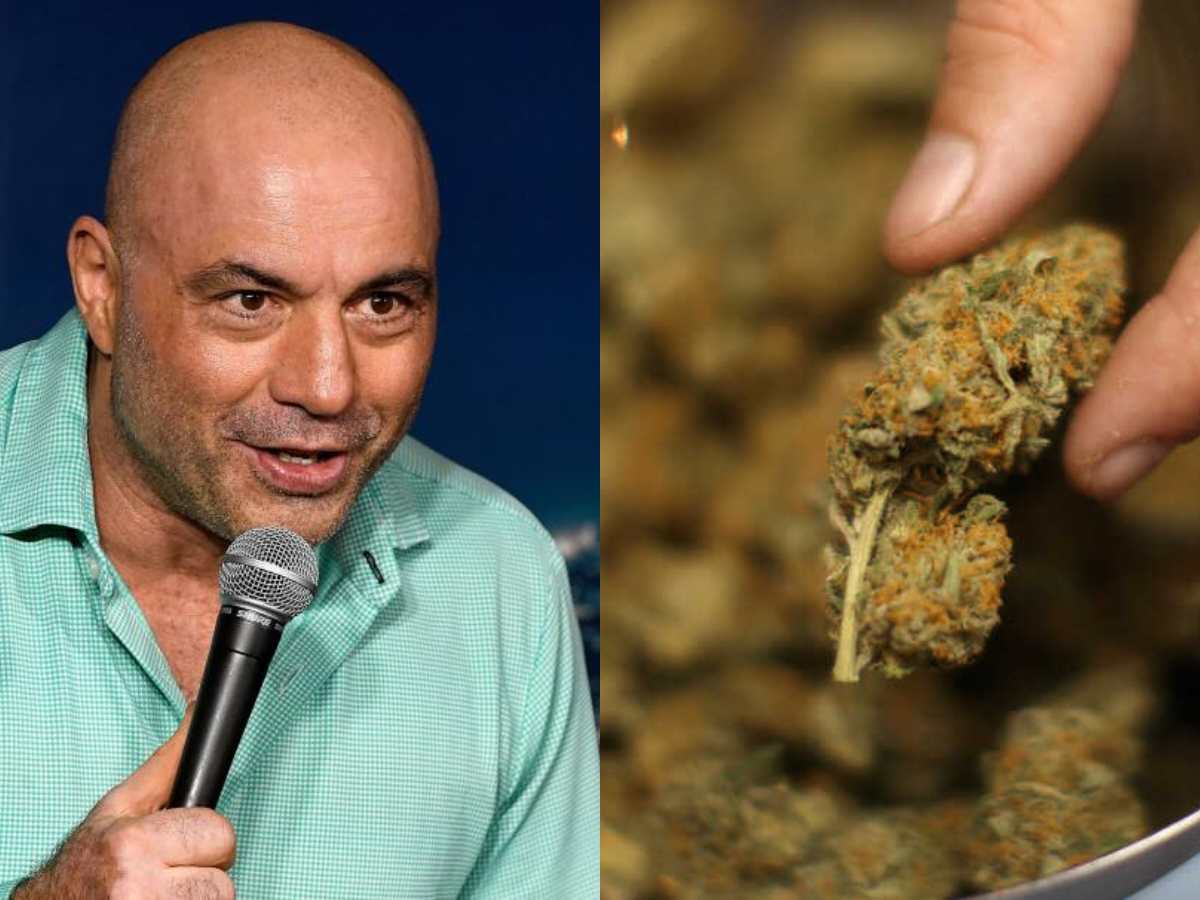 “F*** that!” Joe Rogan was left shell-shocked after MMA fighter revealed ridiculous marijuana laws in Cuba