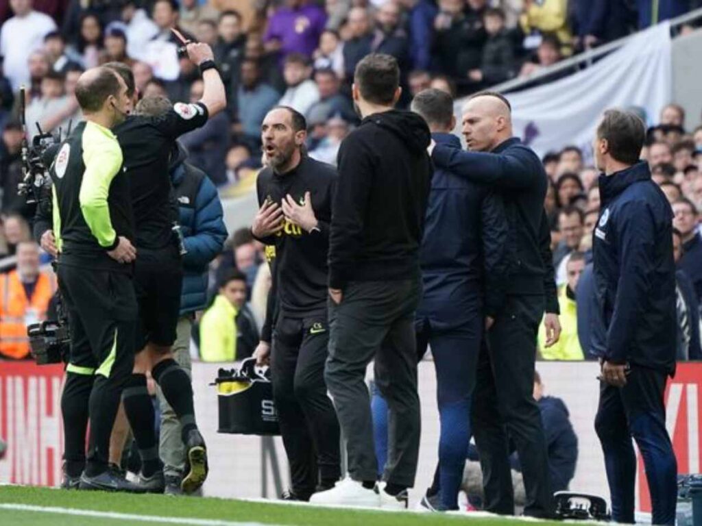 Cristian Stellini red card Tottenham 1