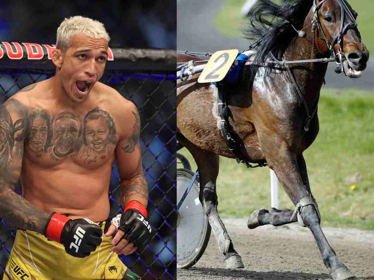 WATCH: Charles Oliveira outdrives hall of fame Harness Racing driver Tim Tetrick in an exhibition race