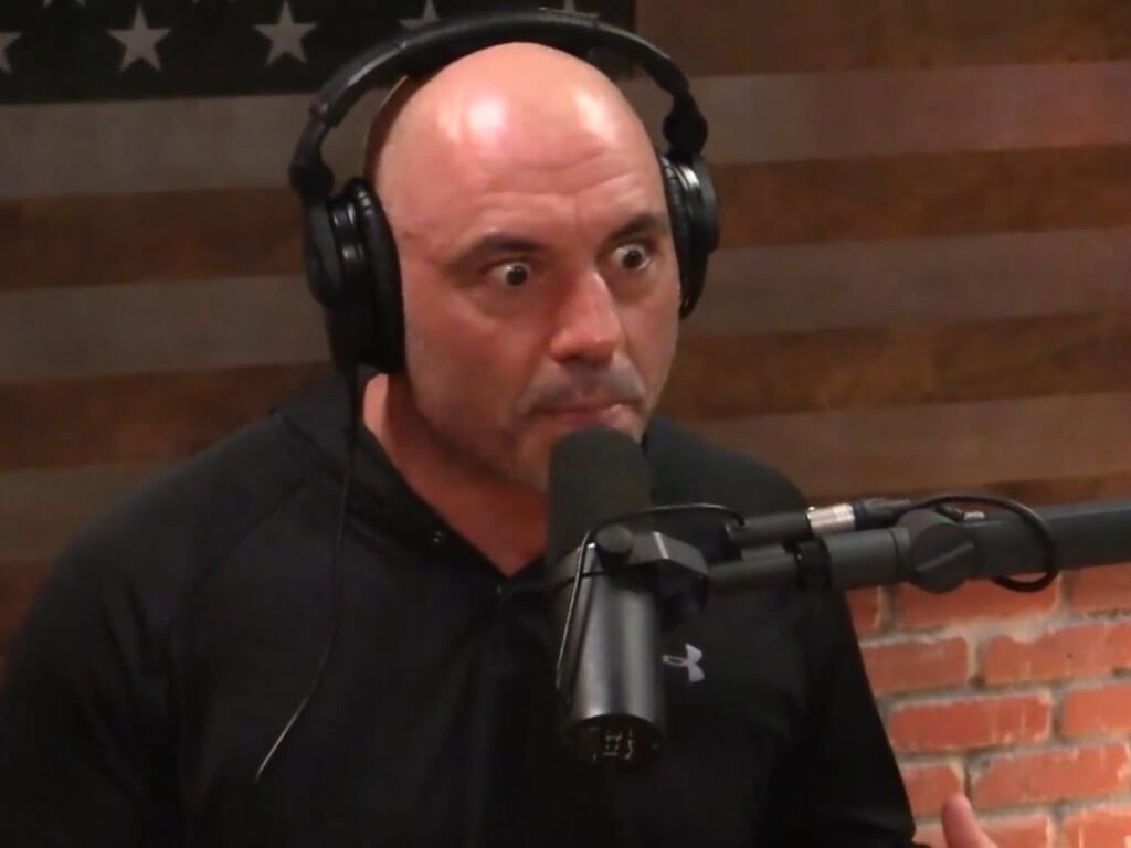 Joe Rogan reveals why he didnt compete in MMA