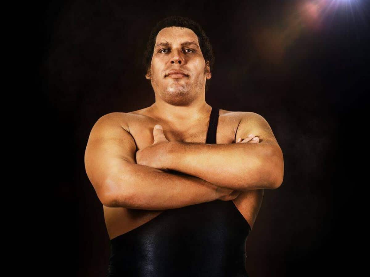 andre the giant