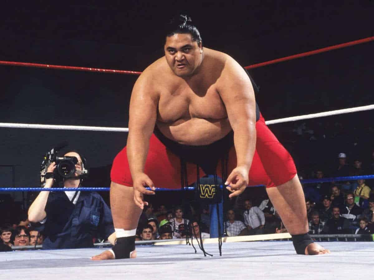 yokozuna