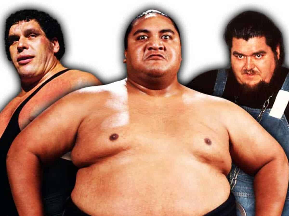 Top 10 heaviest WWE superstars of all time