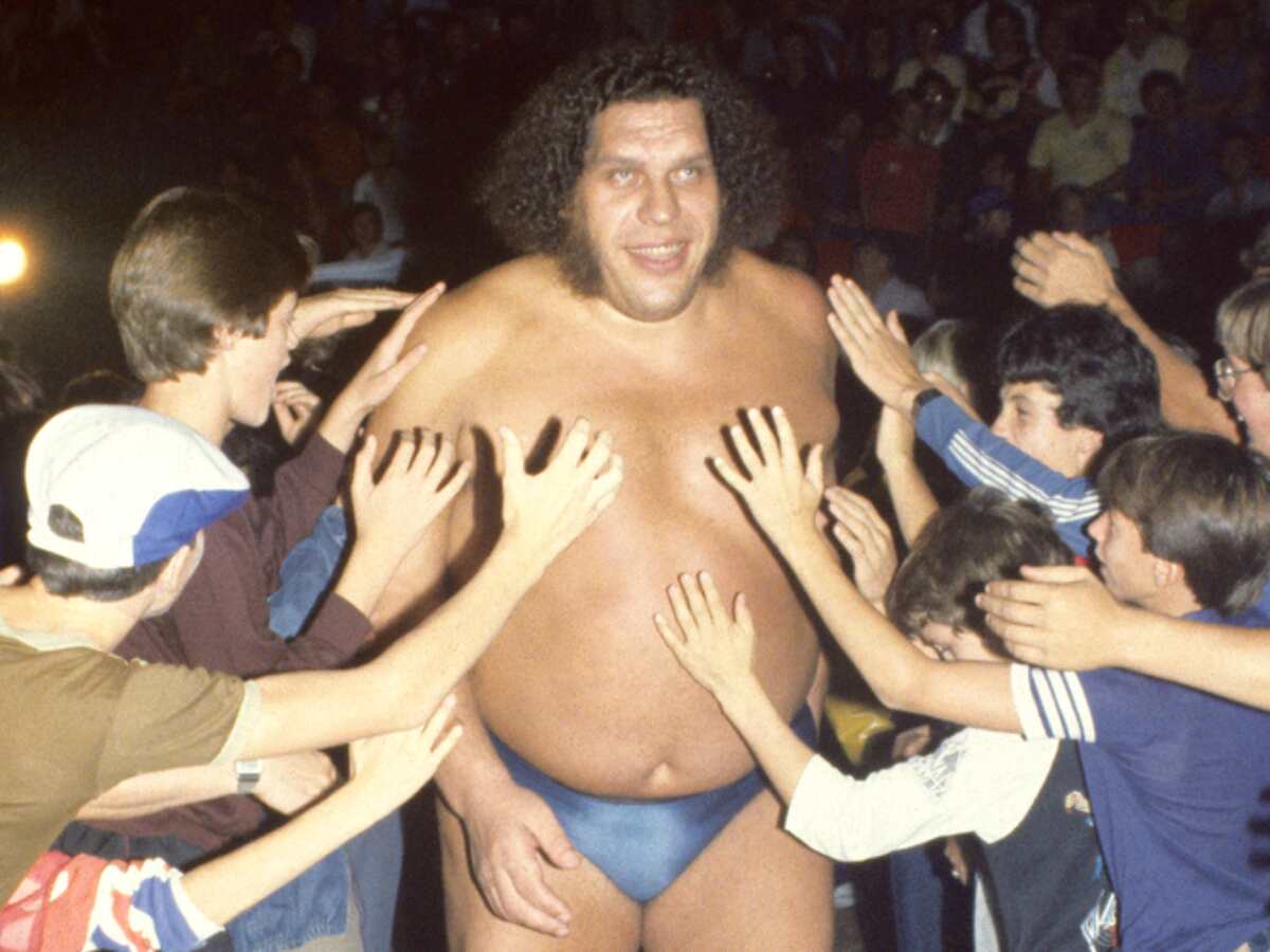 andre the giant