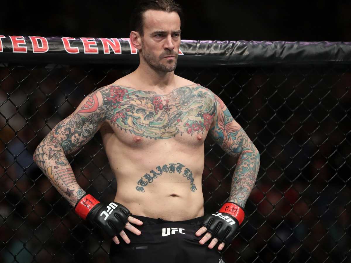 What happened to CM Punk after he failed in UFC?