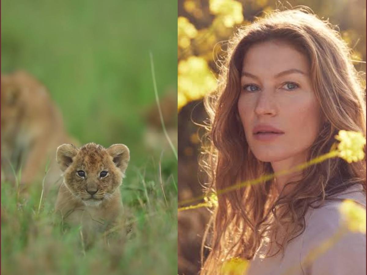 Amidst dating rumors, Tom Brady’s ex-wife Gisele Bündchen shares a ‘wholesome’ video of wildlife oozing positivity