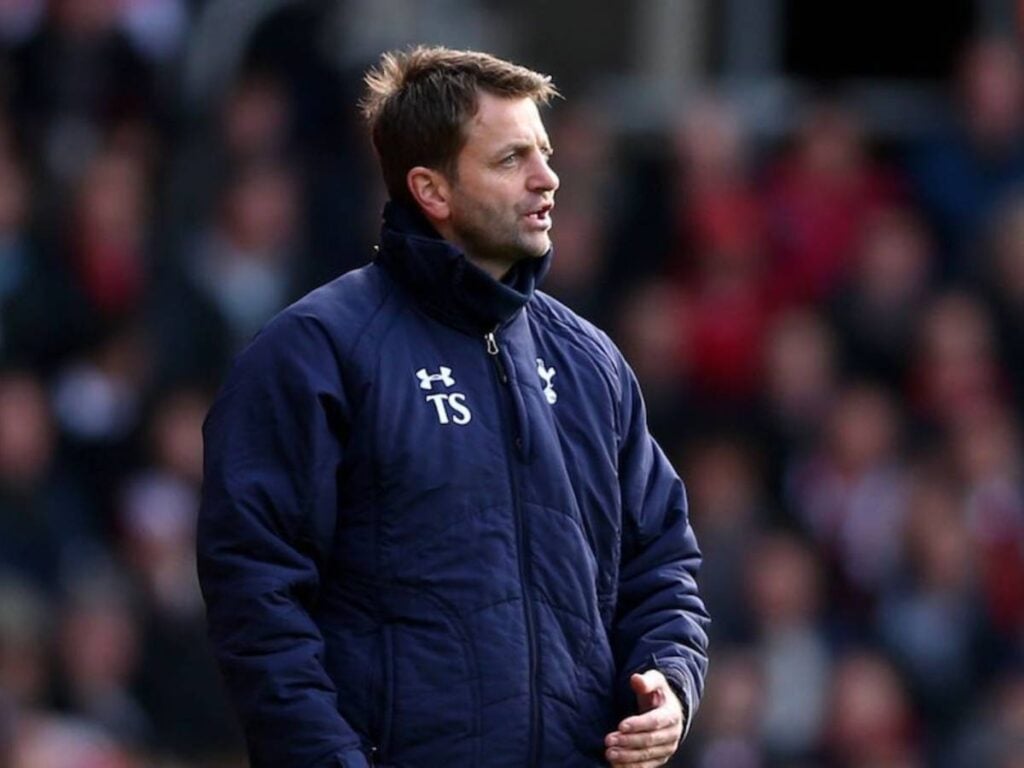 Tim Sherwood Tottenham Hotspur