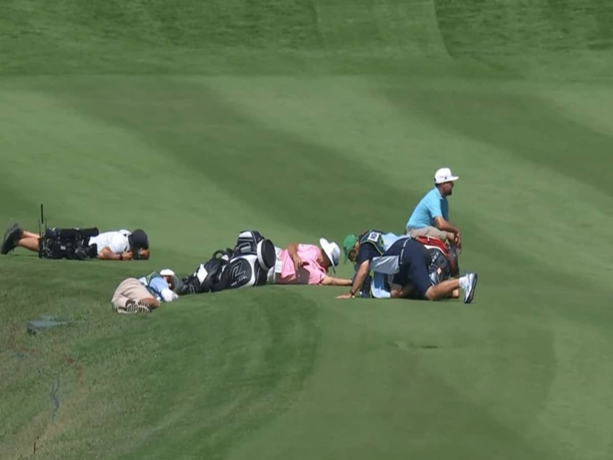 Golfers attacked by swarm of bees at the Vidanta Mexico Open, Golf Twitter reacts