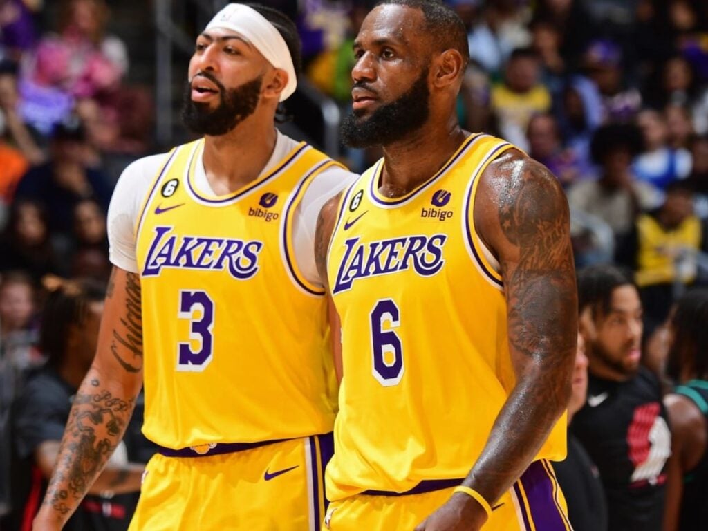 Anthony Davis and LeBron James (Adam Pantozzi/NBAE via Getty Images)