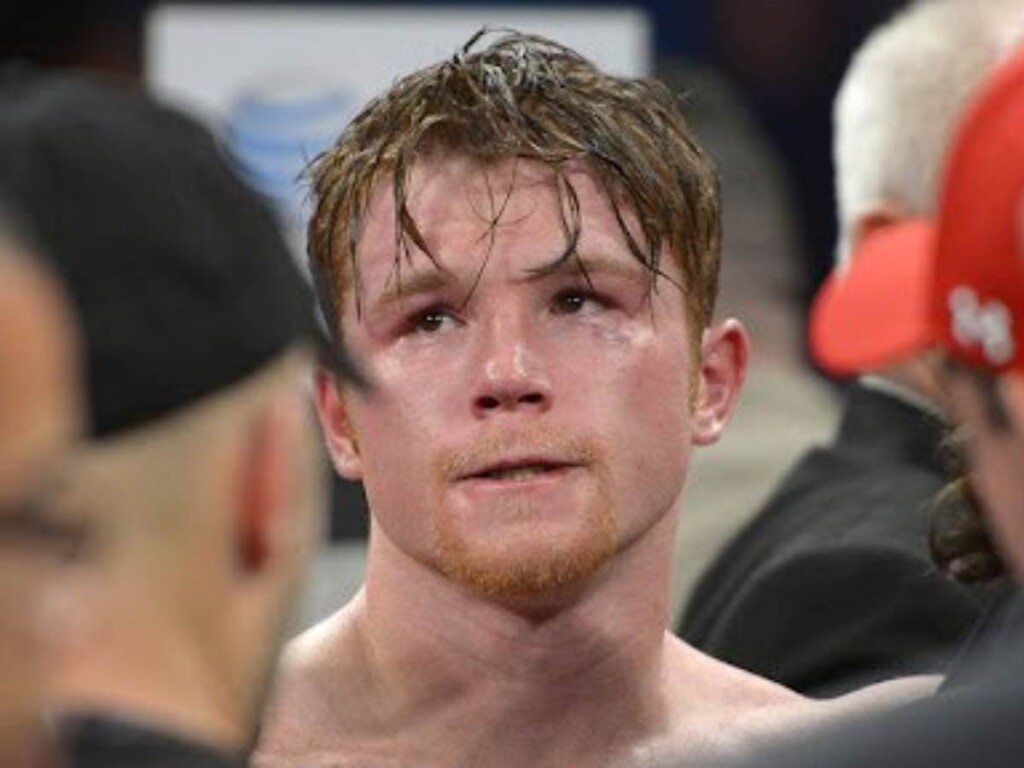 Canelo Alvarez cried after his loss to Floyd Mayweather