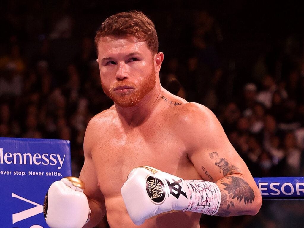 Boxer Canelo Net Worth 2024 Boxer - Felipa Abigael