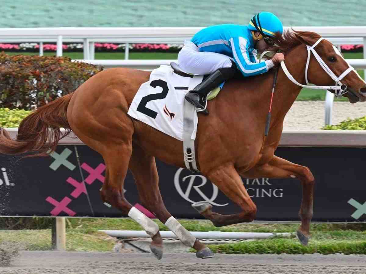 “Mage turns down meeting with Trump”- Fans of the 149th Kentucky Derby winner portray hilarious reactions after maiden victory in the competition