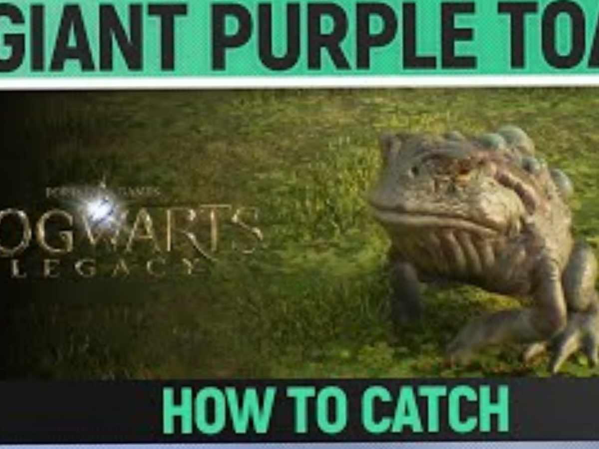 Hogwarts Legacy: How to find and catch Giant Purple Toads?