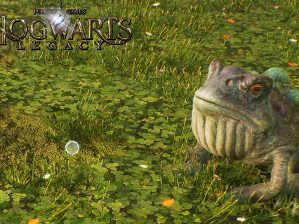 Hogwarts Legacy: How to find and catch Giant Purple Toads? 1 IMG COM 20230513 0017 25 7392
