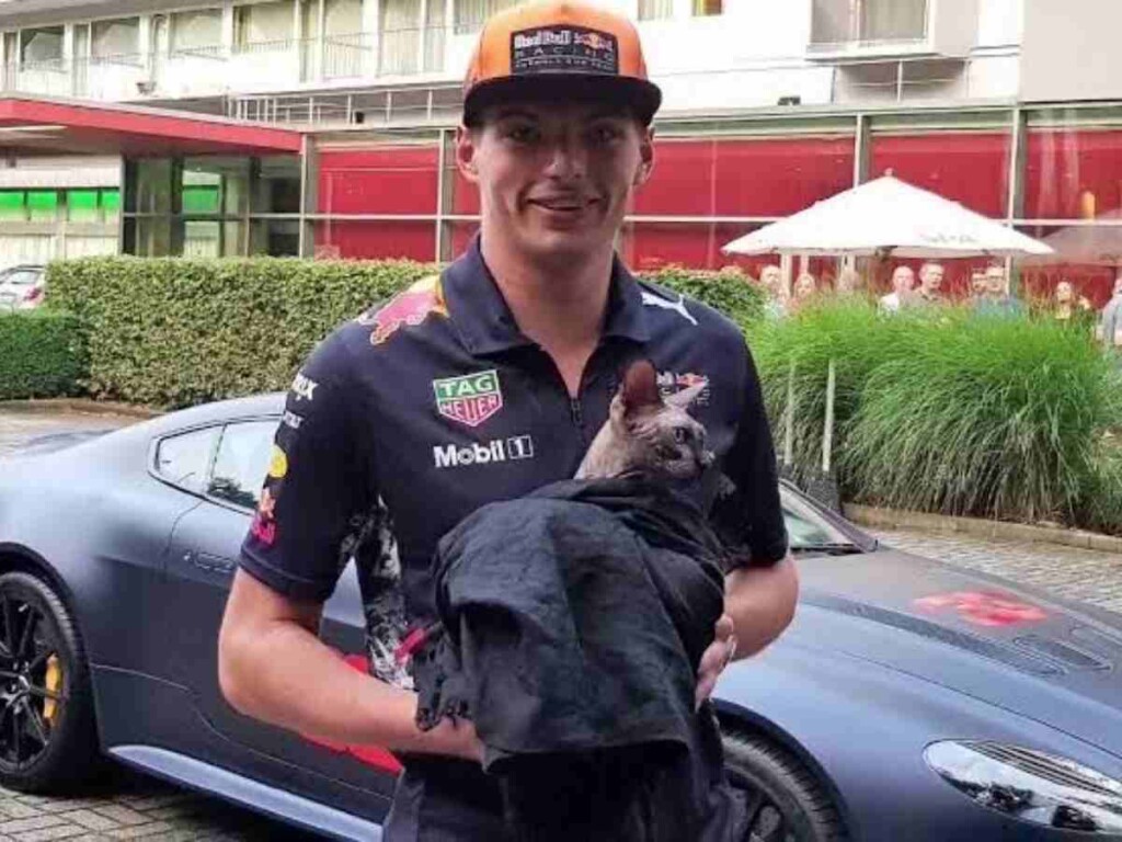 Max Verstappen with a cat