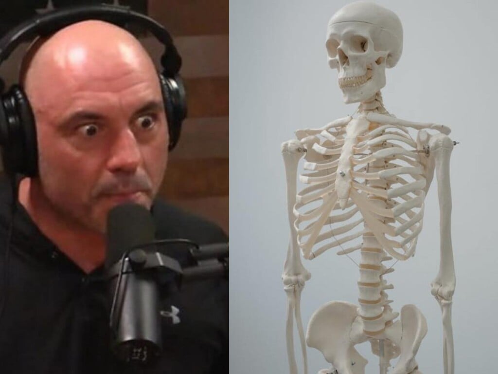 Joe Rogan getting rid of the skeleton he owned