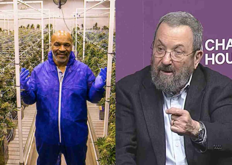 Mike Tyson Cannabis giao dịch với Intercure