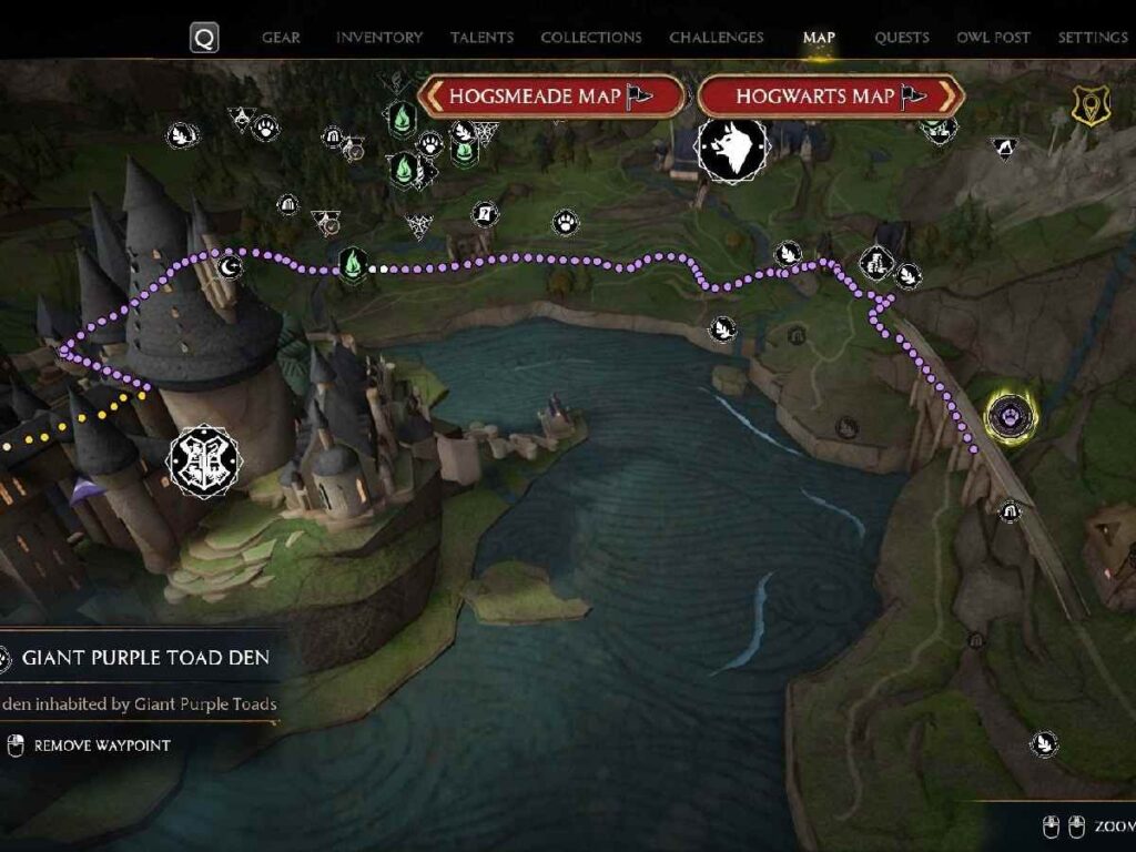 Hogwarts Legacy: How to find and catch Giant Purple Toads? 3 Q 1683954104
