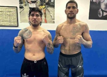 Alex Pereira Dillon Danis