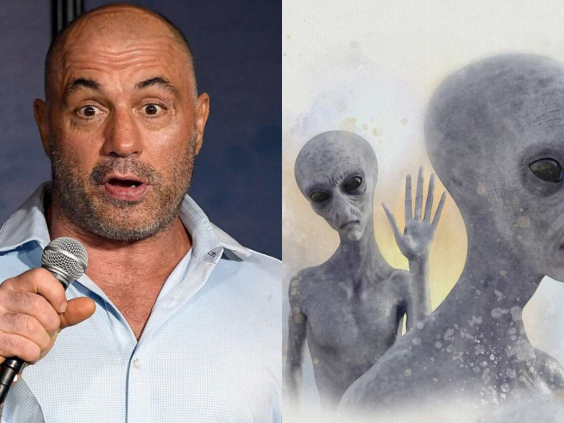Joe Rogan Evolution Primate When Joe Rogan asked if human evolution came from super-advanced 'Alien ...
