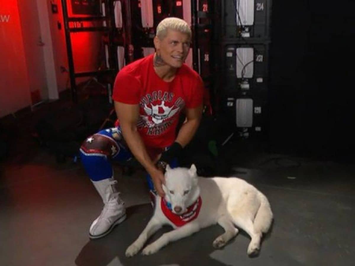 WATCH: Cody Rhodes’ dog Pharaoh finally makes his debut on Raw