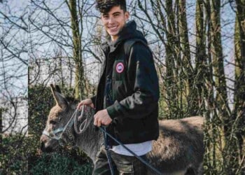 Kai Havertz has a special place in his heart for Donkey