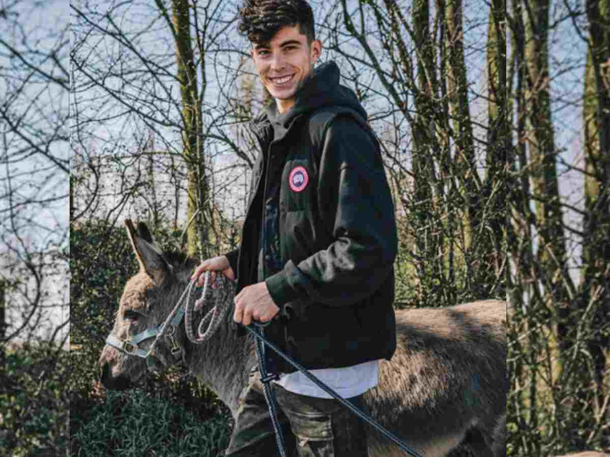 “Incredible animals,” Chelsea’s Kai Havertz reacts after a donkey gets named after him amid Arsenal move rumors