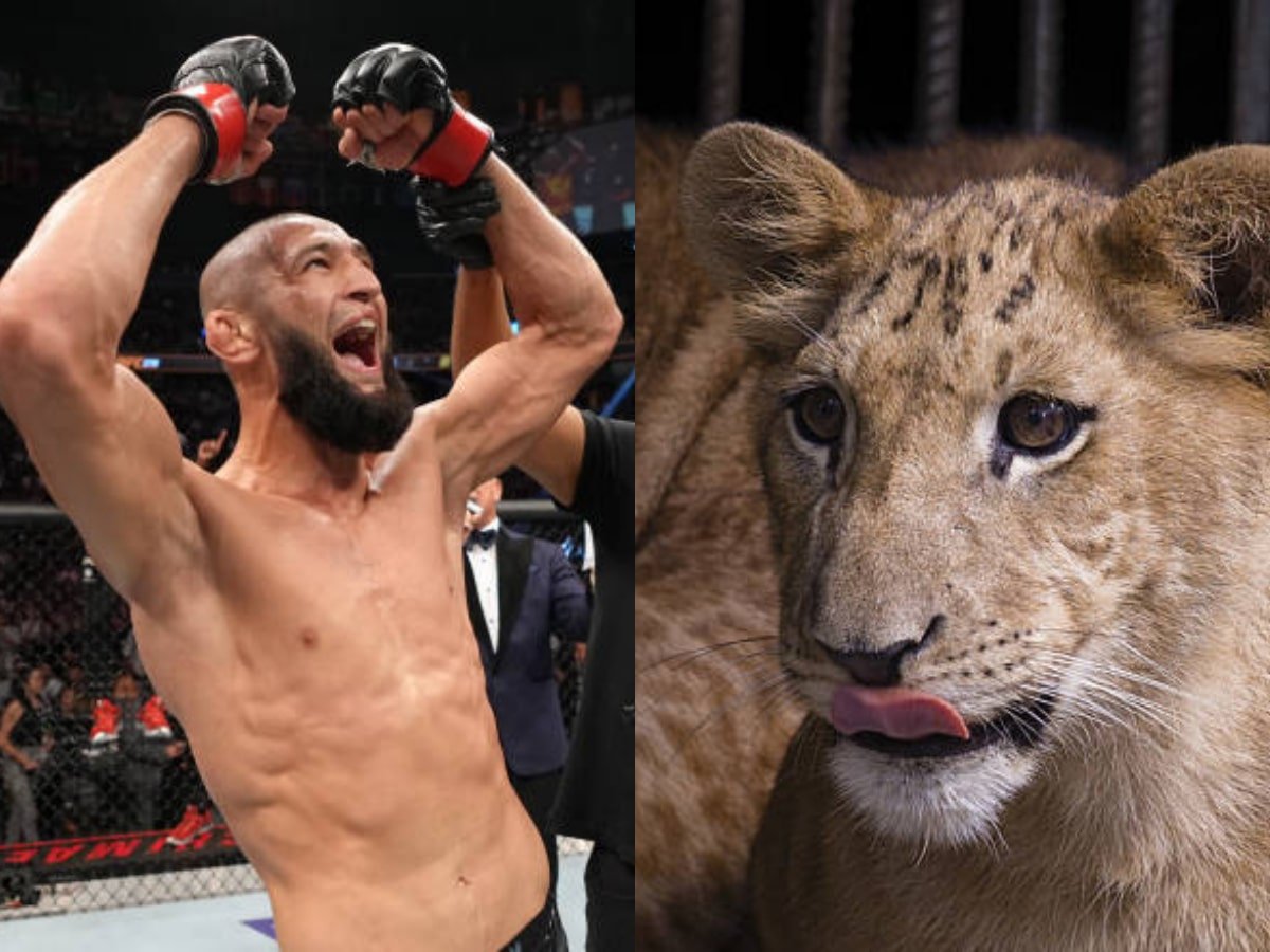 WATCH: Khamzat Chimaev incredibly battles exotic wild animal with rope in absence from octagon