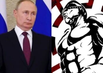 White Rex Vladimir Putin