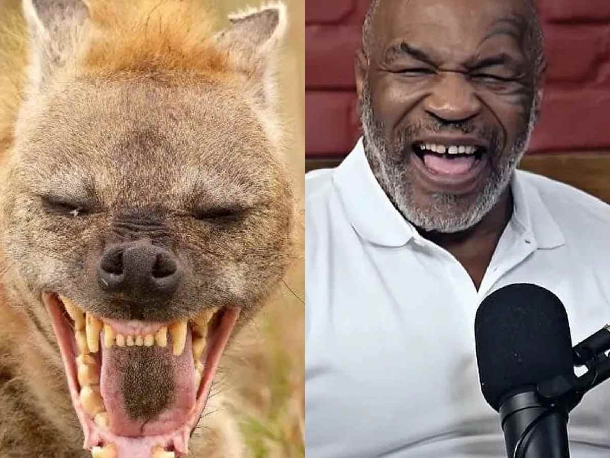 Mike Tyson reveals his plan to domesticate THIS wild beauty after history of having wild animals as pets