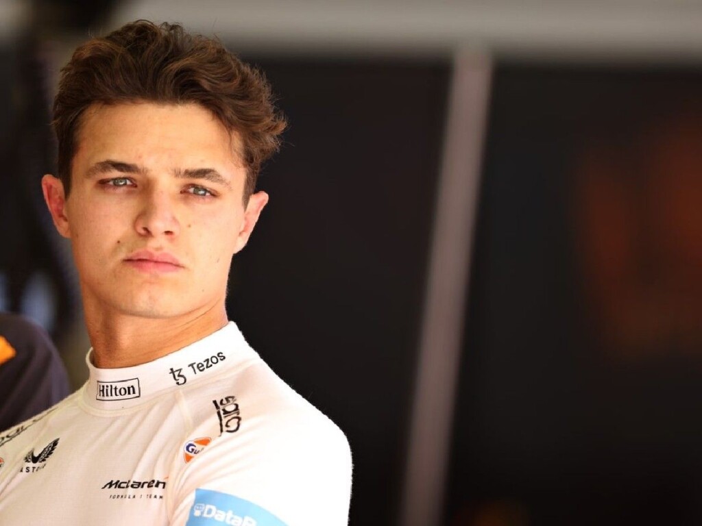 Lando Norris (Credits: The Independent)