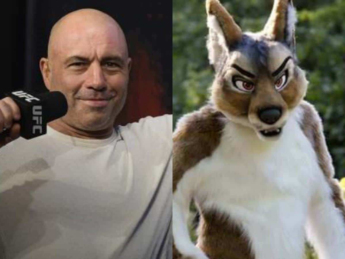 “If you could f**k with this, you’re an American hero,” Joe Rogan stuns internet again after cosplaying as furry following RKF Jr covid scandal