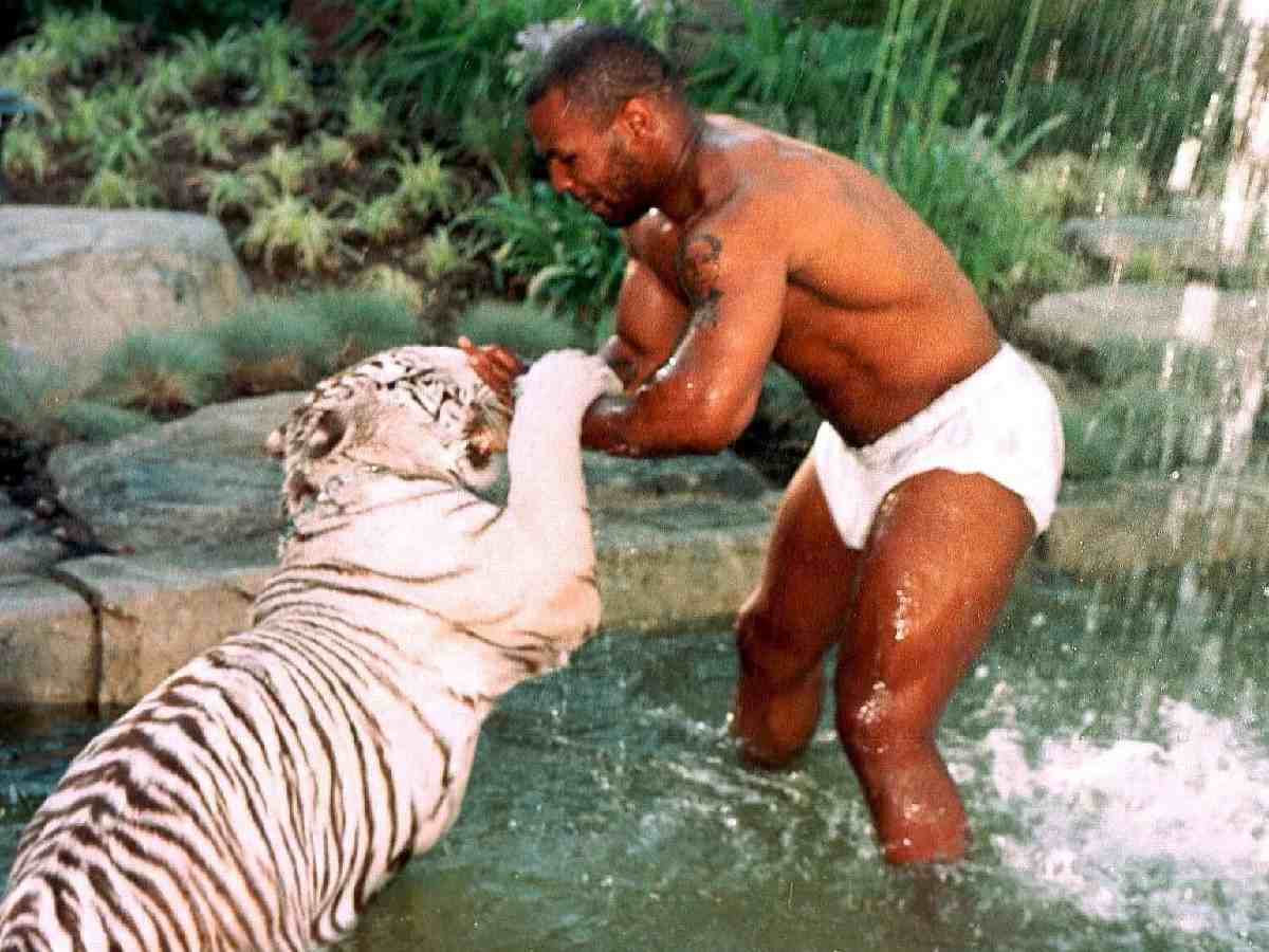 “One wanted to get closer to me,” Mike Tyson reveals getting caught up in 600-pound tiger tussle in his bed