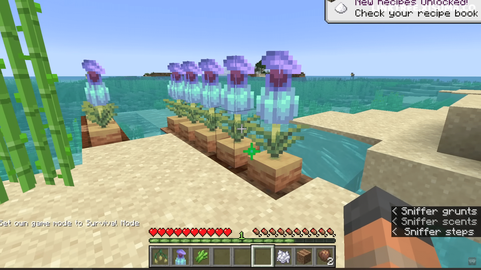 minecraft-1-20-trails-tales-how-to-get-pitcher-plant-firstsportz