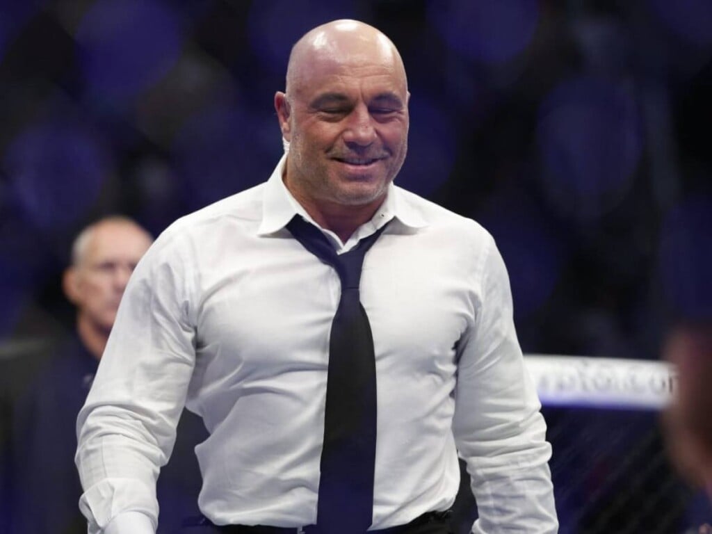 Fans want Joe Rogan back in UFC 5